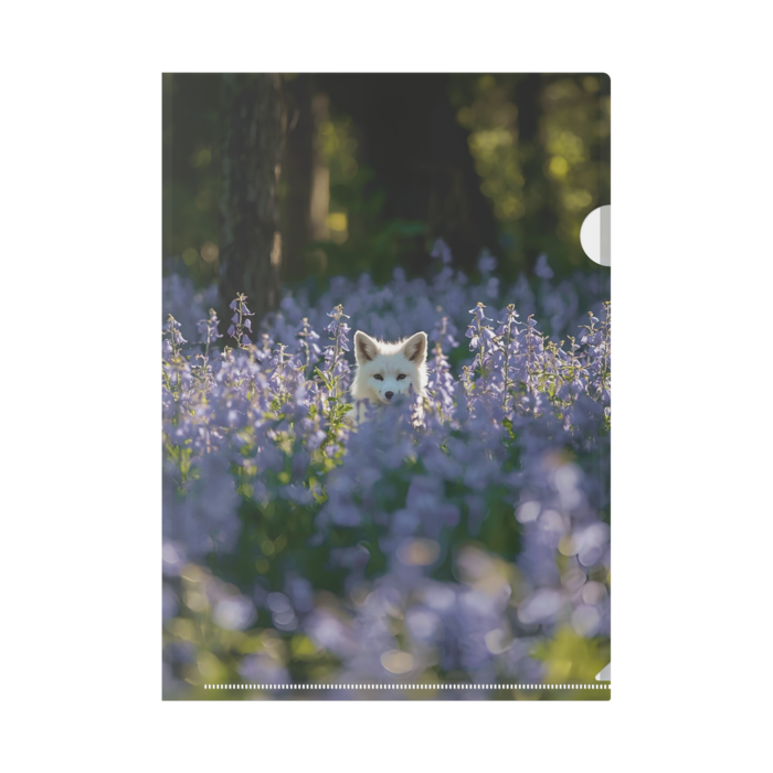 クリアファイル - A4