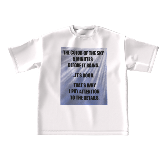 ビッグシルエットTシャツ - L - 正面