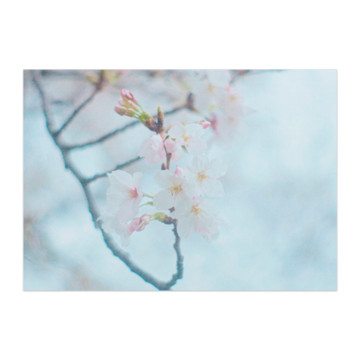 パネル - A2