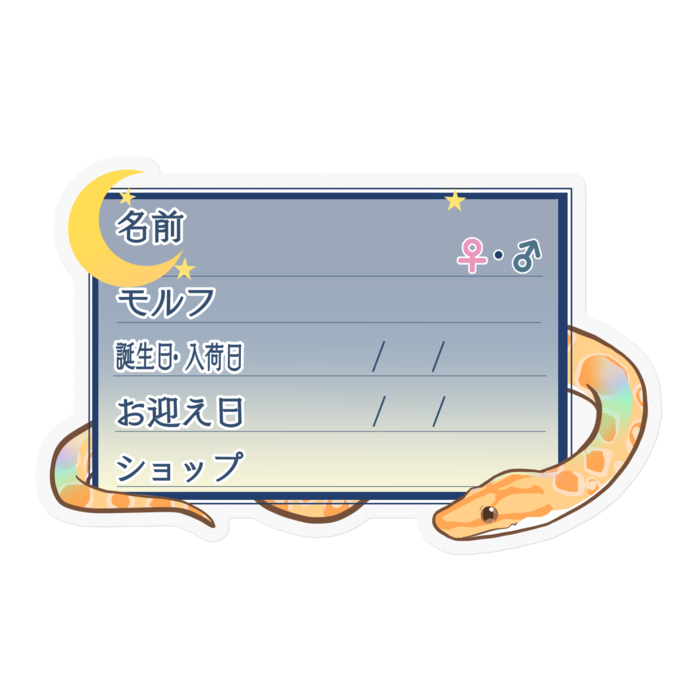 【🐍お名前ステッカー】ブラニジ(アルビノ) ‐夜