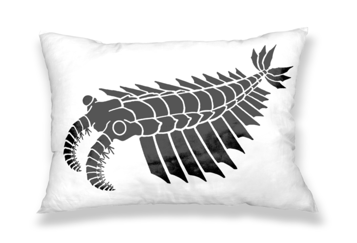 枕カバー - 43x63cm - 片面