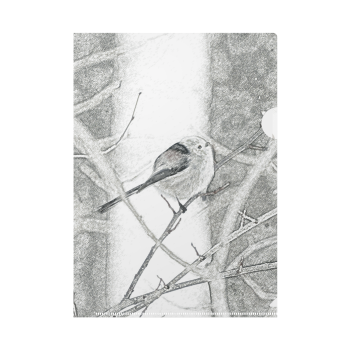 クリアファイル - B5