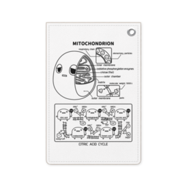 ミトコンドリア パスケース もちもち屋 Booth