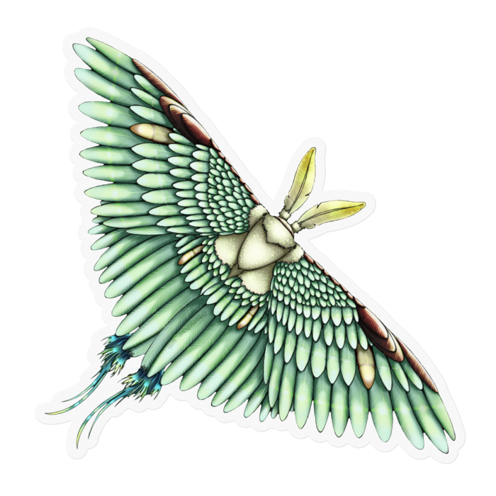 緑　ー　クリア／100 x 100㍉