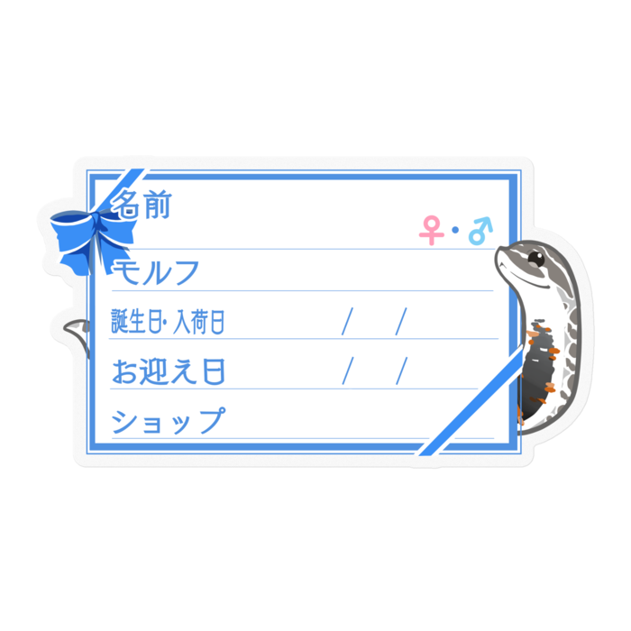 【🐍お名前ステッカー】シシバナ(アークティック) ‐リボン／ブルー