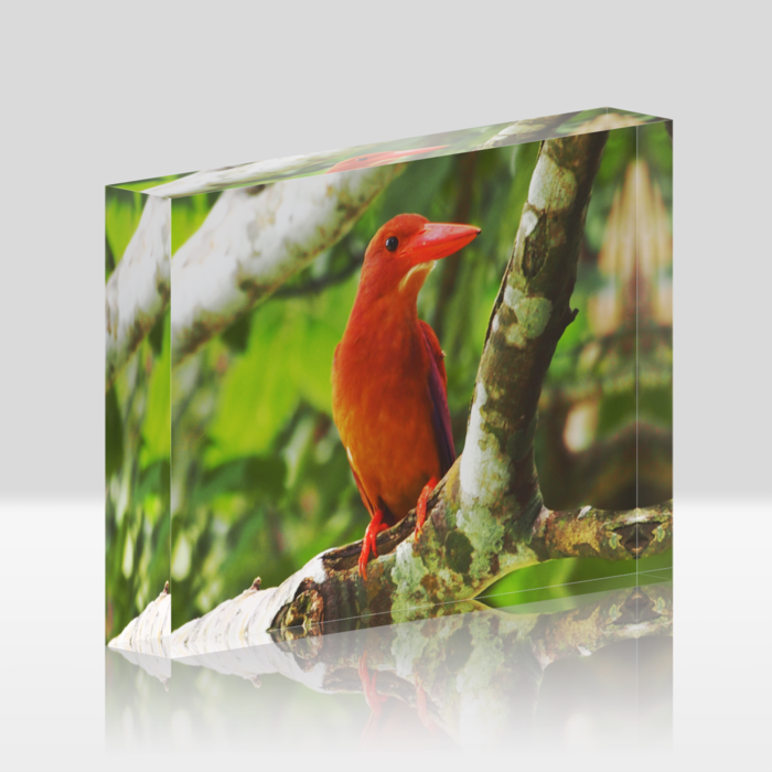 アクリルブロック - 148x100mm