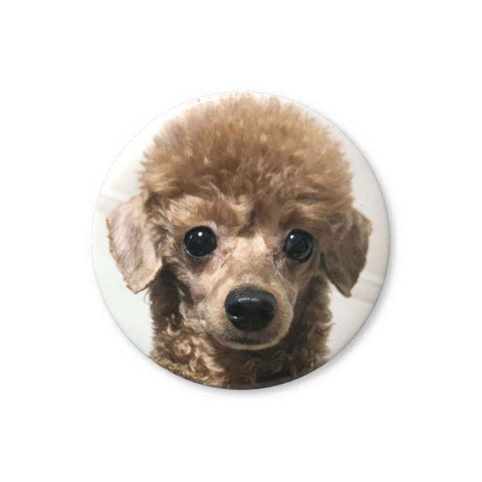 缶バッジ（バリュー） - 32mm