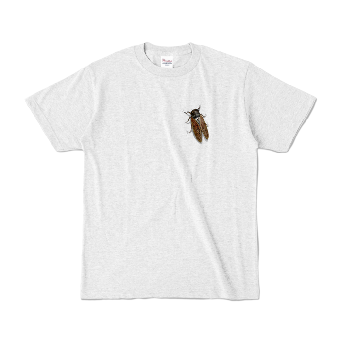 カラーTシャツ - S - アッシュ (淡色)