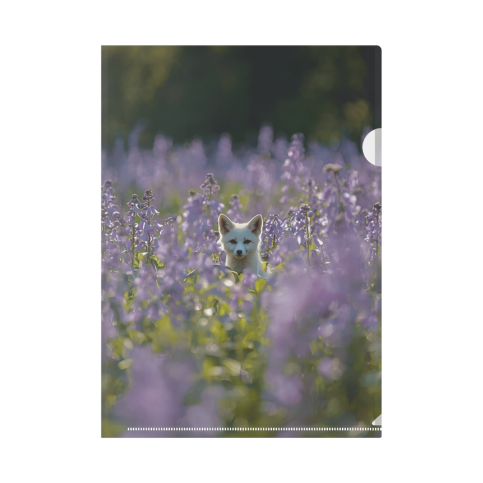 クリアファイル - A4(2)