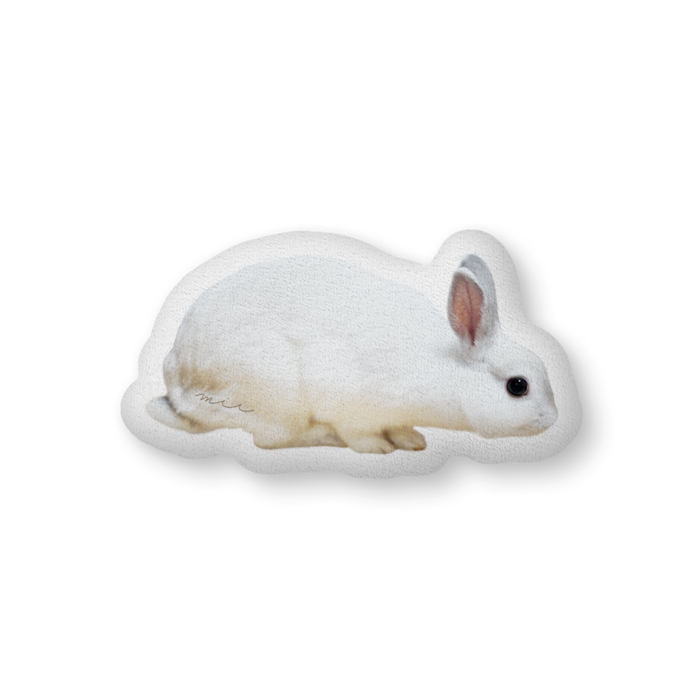 ふかふかクッション - 中(H36×W56cm) - 両面