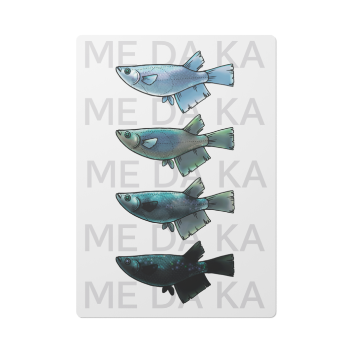 ME DA KA(青)　ー　A4