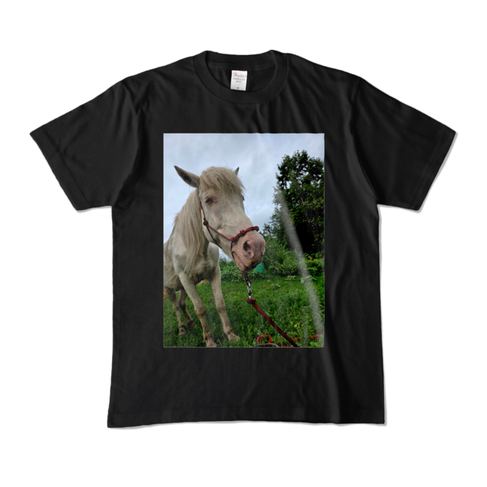 カラーTシャツ - M - ブラック (濃色)