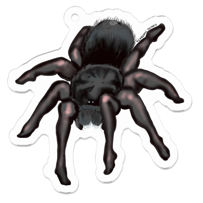 アクリルキーホルダー（コーティング） - 50 x 50 (mm)