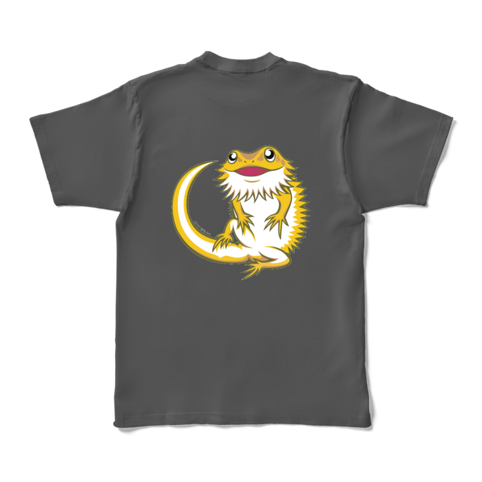 カラーTシャツ - XL - チャコール (濃色)