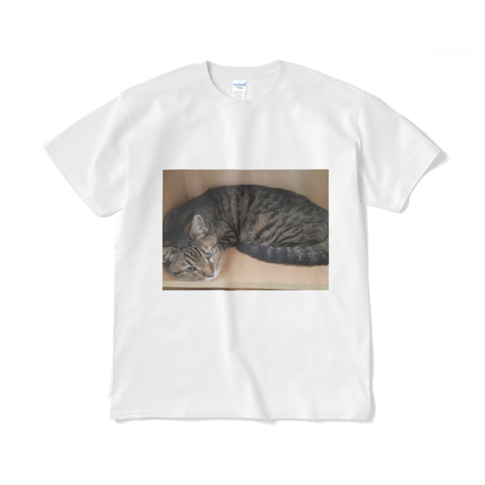 Tシャツ（短納期） - XL - ホワイト