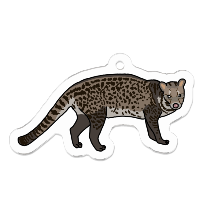 じゃこうねこ