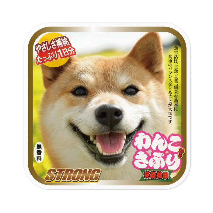 ステッカー - 100 x 100 (mm)