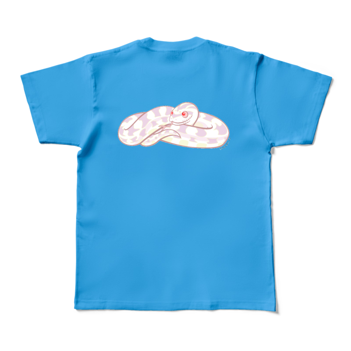 カラーTシャツ - M - ターコイズ (濃色)