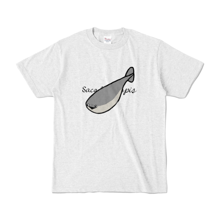 カラーTシャツ - S - アッシュ (淡色)