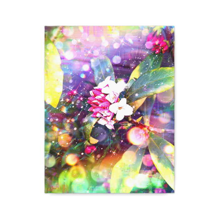 キャンバス - F6