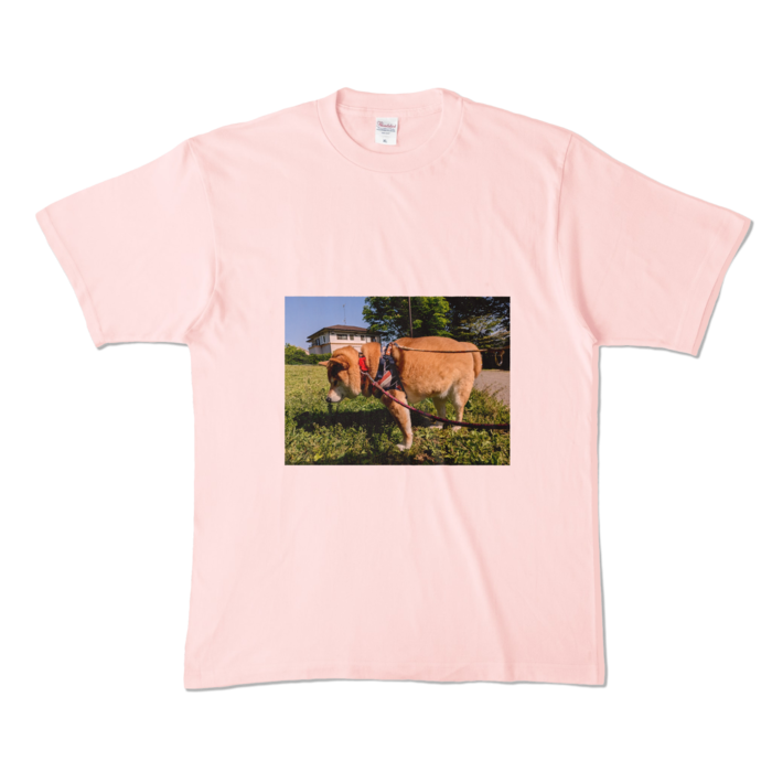カラーTシャツ - XL - ライトピンク (淡色)