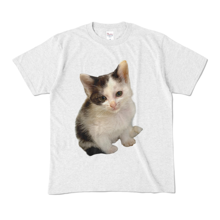 カラーTシャツ - M - アッシュ (淡色)