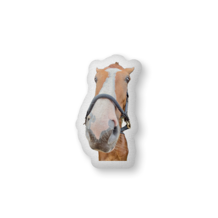 ふかふかクッション - 中（H56×W36cm） - 片面