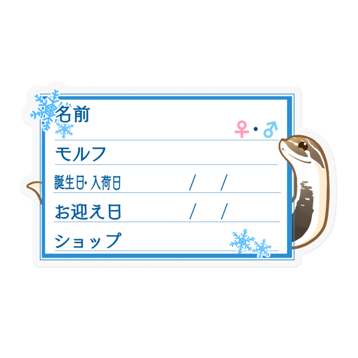 ใ๐ใๅๅในใใใซใผใใทใทใใ(ในใผใใผใณใณใ) โ้ช