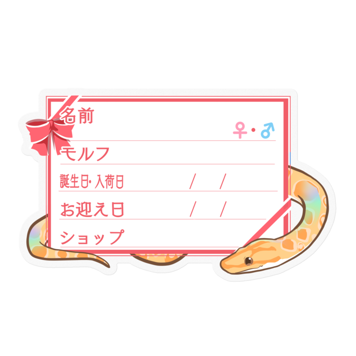 【🐍お名前ステッカー】ブラニジ(アルビノ) ‐リボン／ピンク