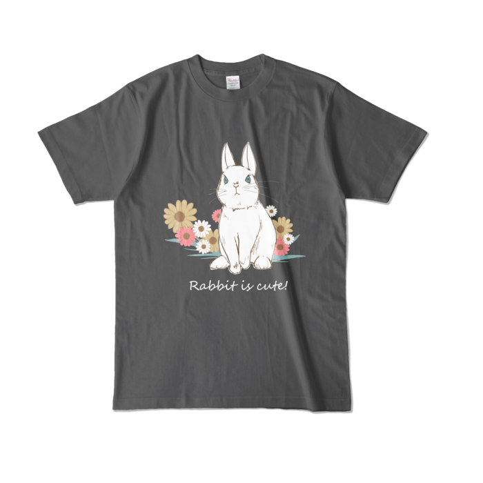 カラーTシャツ - L - チャコール (濃色)