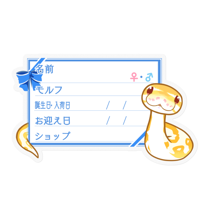 【🐍お名前ステッカー】ボールパイソン(アルビノミニ) ‐リボン/ブルー