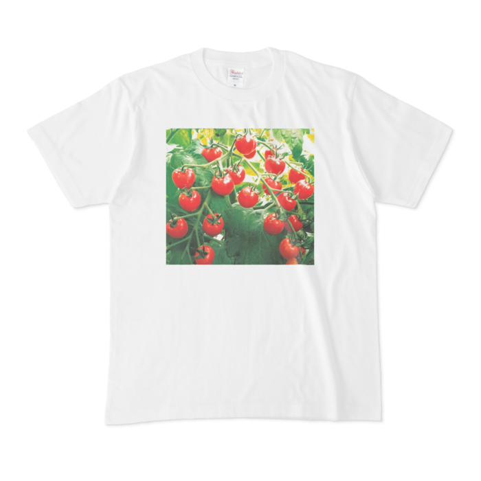 Tシャツ - M
