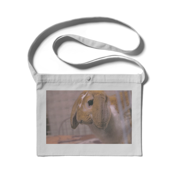 サコッシュ - 300 x 230 (mm)(2)