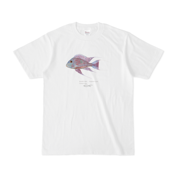 Tシャツ - S - 白