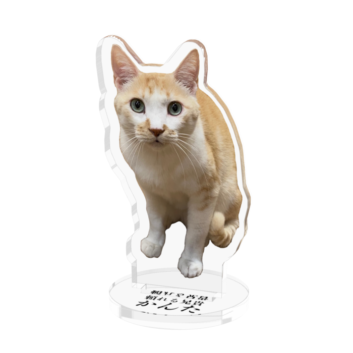 アクリルフィギュア - 50x50mm