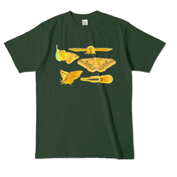 カラーTシャツ - L - フォレスト (濃色)