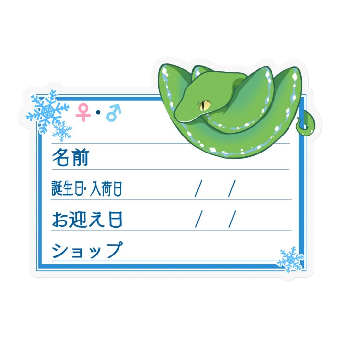 【🐍お名前ステッカー】枠11種類 グリンパイ(ソロン) ‐雪
