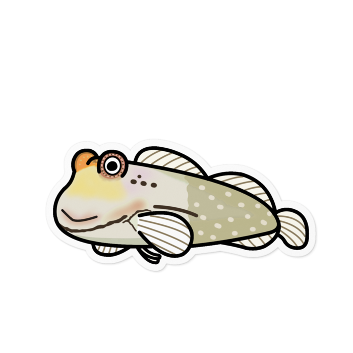 ステッカー - 100 x 100 (mm)