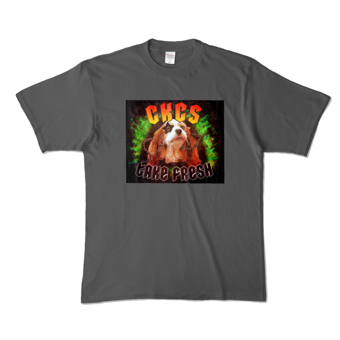 カラーTシャツ - XL - チャコール (濃色)