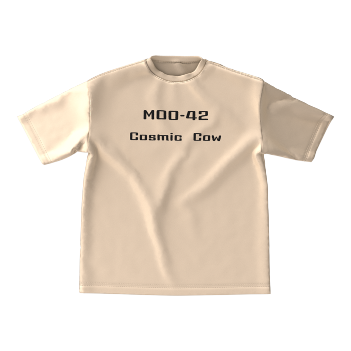 ビッグシルエットTシャツ - M - 両面(2)
