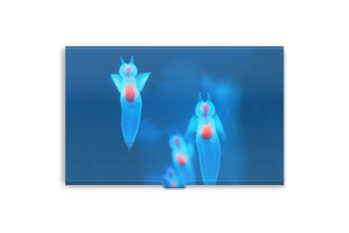 名刺入れ - 95 x 61 (mm)