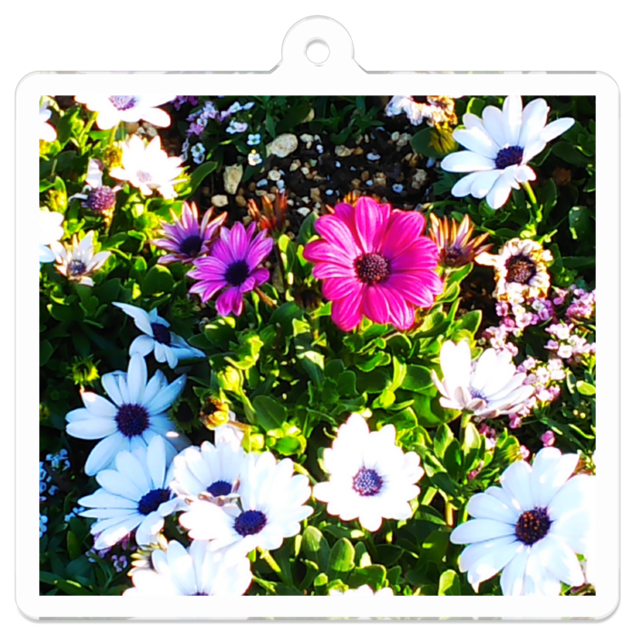 アクリルキーホルダー - 50 x 50 (mm)