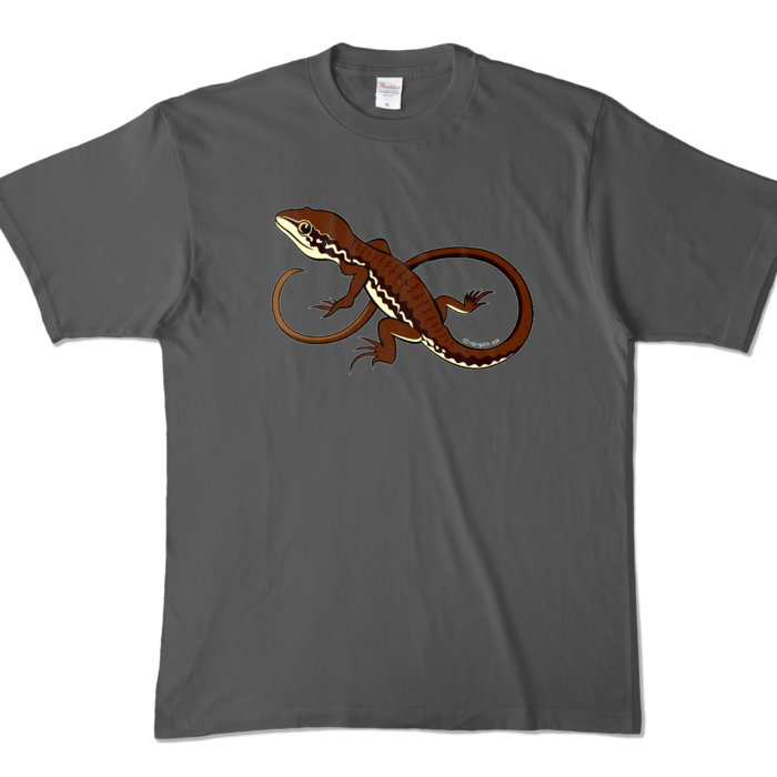 カラーTシャツ - XL - チャコール (濃色)