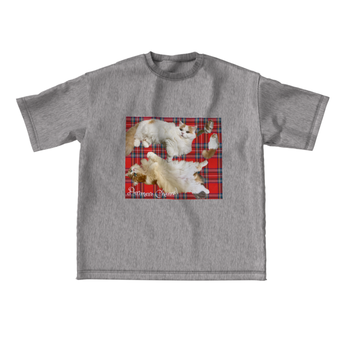 ビッグシルエットTシャツ - L - 両面(2)