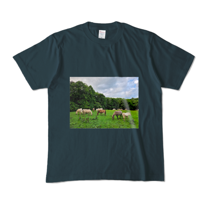 カラーTシャツ - M - デニム (濃色)