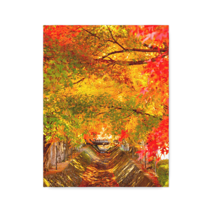 キャンバス - F6