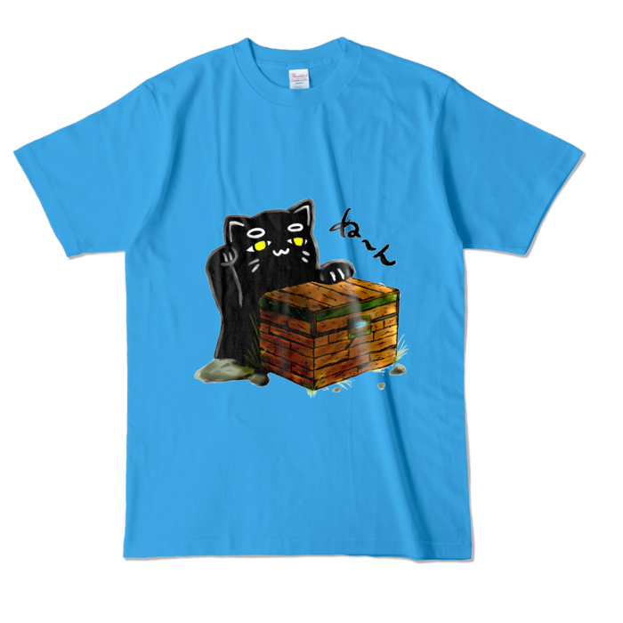 カラーTシャツ - L - ターコイズ (濃色)