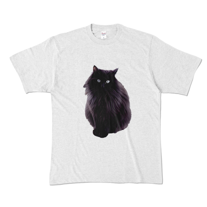カラーTシャツ - XL - アッシュ (淡色)