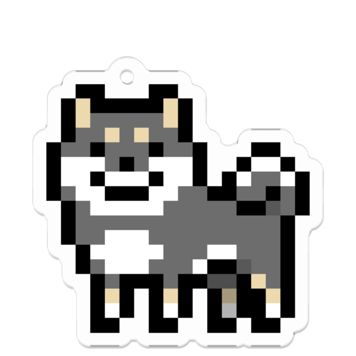 黒柴