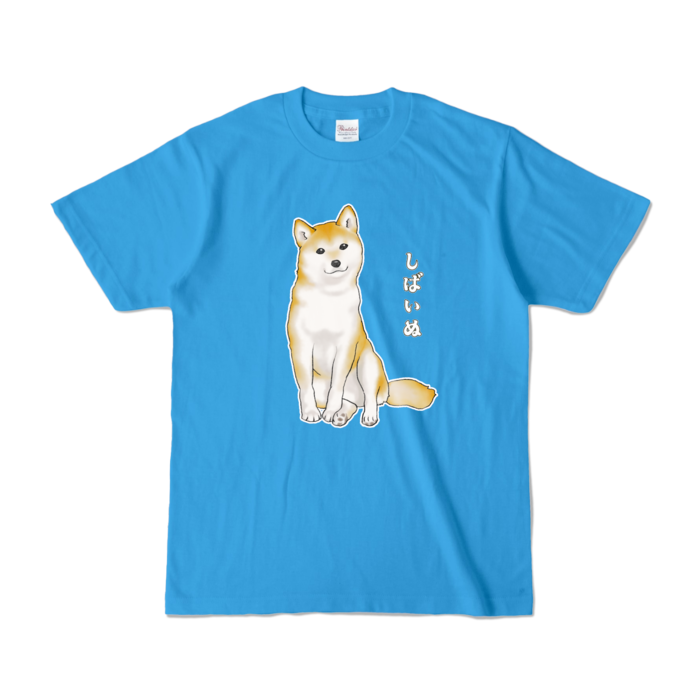 カラーTシャツ - S - ターコイズ (濃色) / Size S, Turquoise